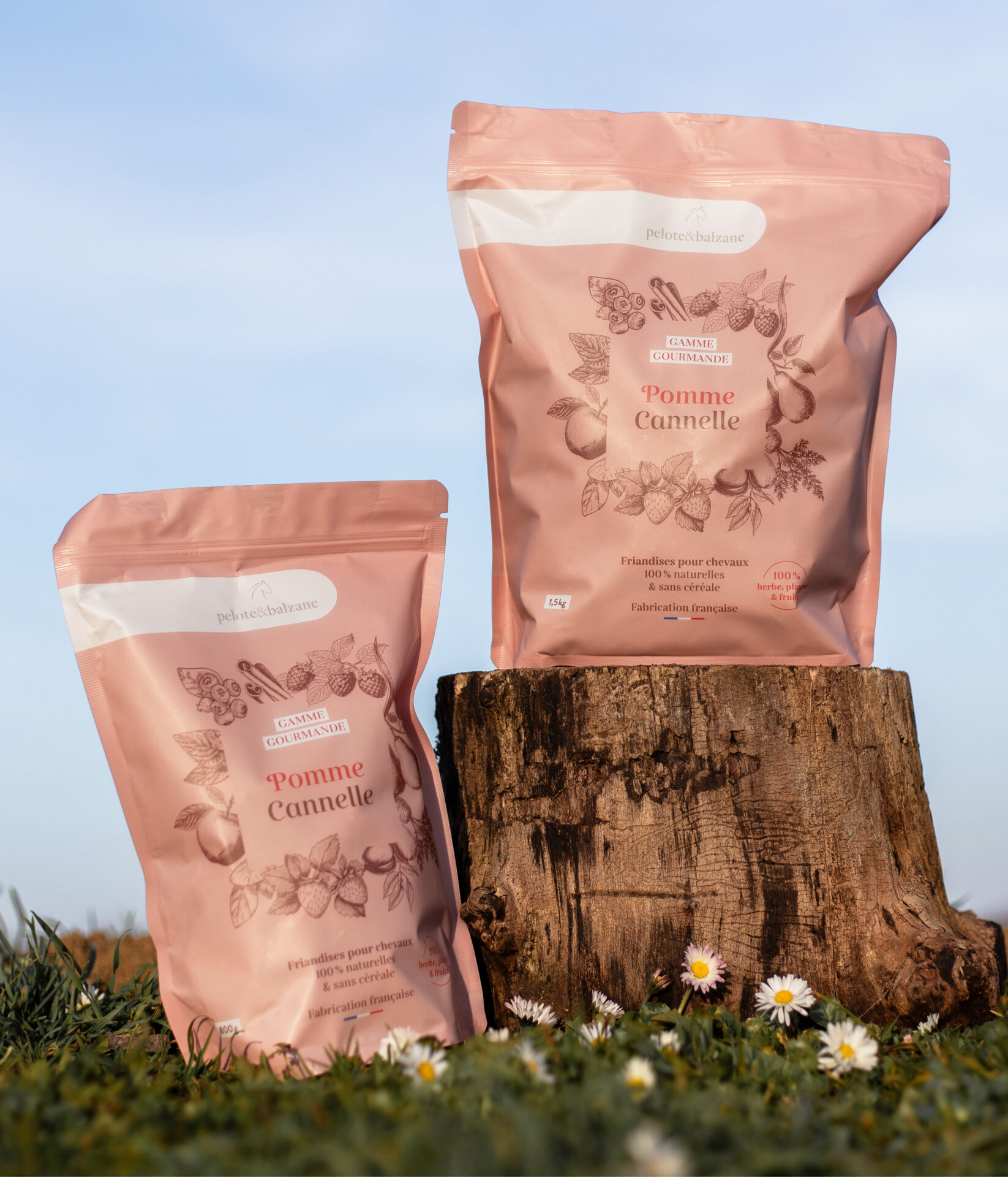Kerbl Horse Fitform Chevaux Friandises à La Pomme 1 Kg Que Snack