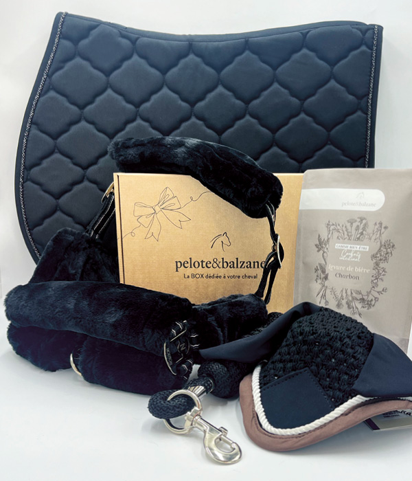 Kit de couture personnalisé avec nom, fleur de naissance, cheval, tache de naissance, boîte de