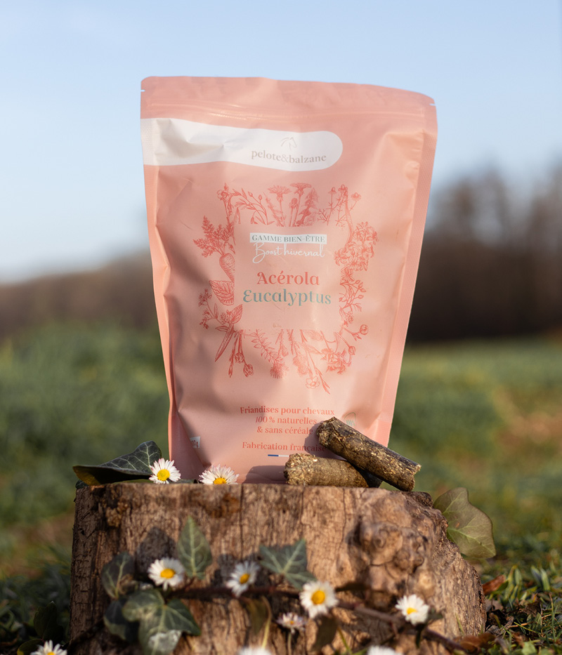 PELOTE ET BALZANE • Box unité11