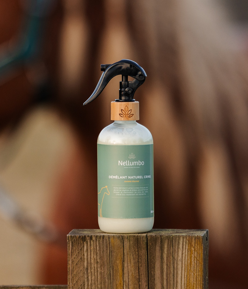 PELOTE ET BALZANE • Box unité25