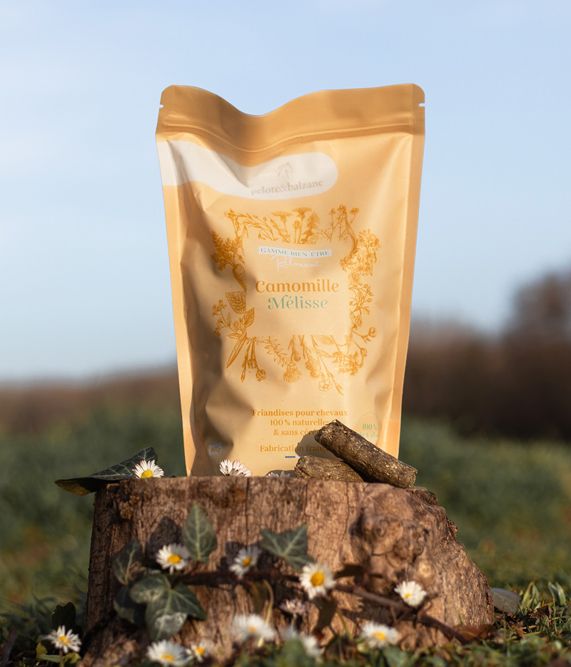 PELOTE ET BALZANE • Box unité26