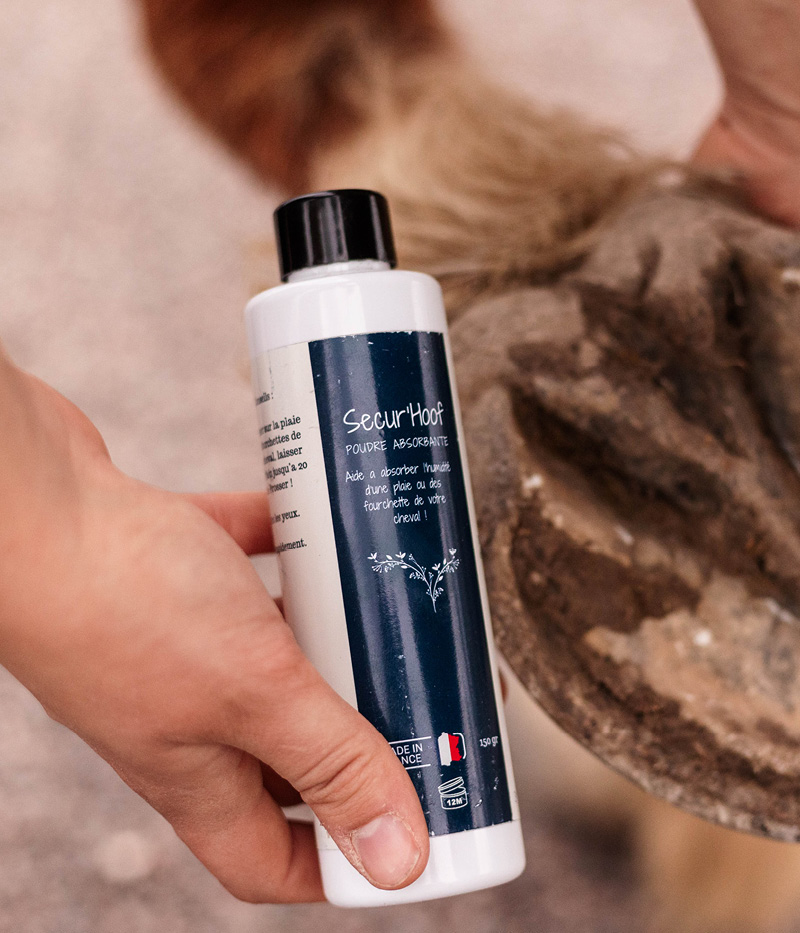 PELOTE ET BALZANE • Box unité39