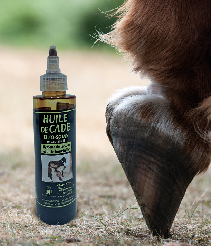 PELOTE ET BALZANE • Box unité40