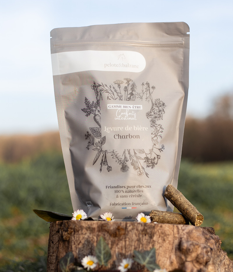 PELOTE ET BALZANE • Box unité41