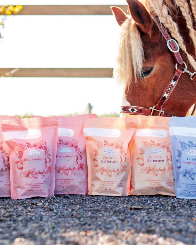 BL8A9145_v2 BL8A9145_v2